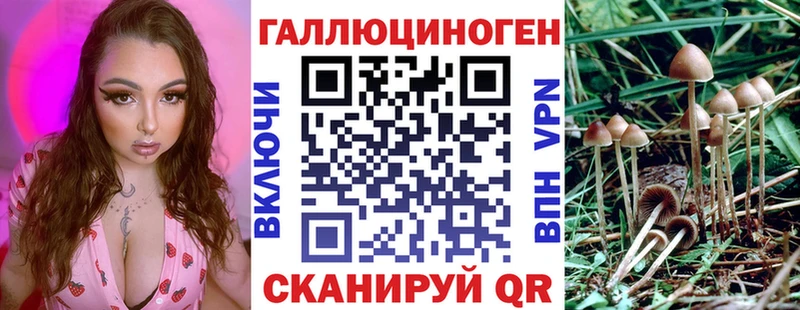 дарк нет официальный сайт  Спасск  Галлюциногенные грибы ЛСД 